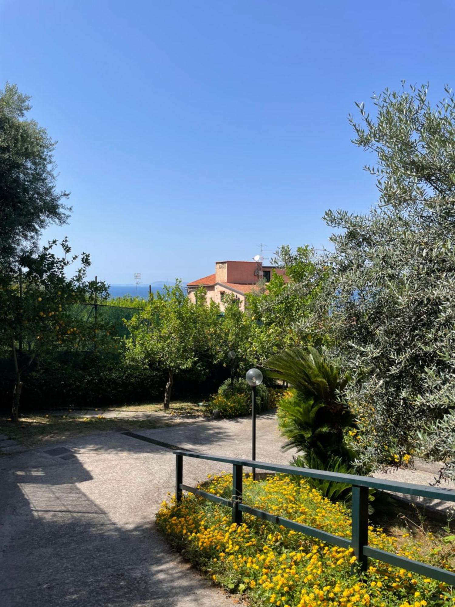 Villa Rosmary Massa Lubrense Exterior foto