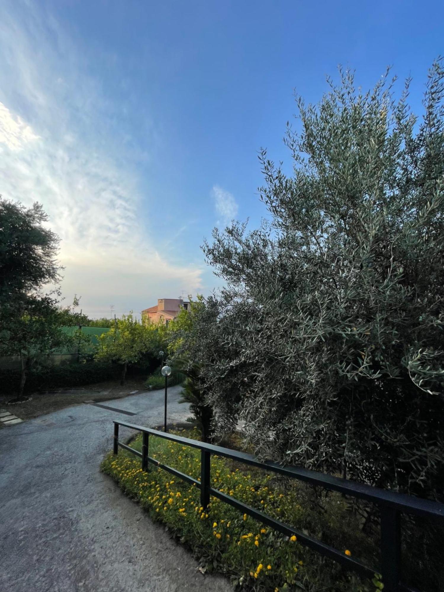 Villa Rosmary Massa Lubrense Exterior foto